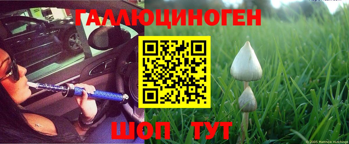 Галлюциногенные грибы Psilocybine cubensis  Вход с VPN  Ачхой-Мартан 