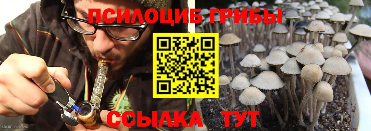 Псилоцибиновые грибы MAGIC MUSHROOMS Ачхой-Мартан
